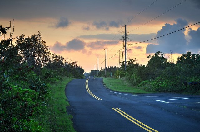 Read-Road-Runner-Hawai'i-10-29-2017-Balanced-01.jpg.jpg