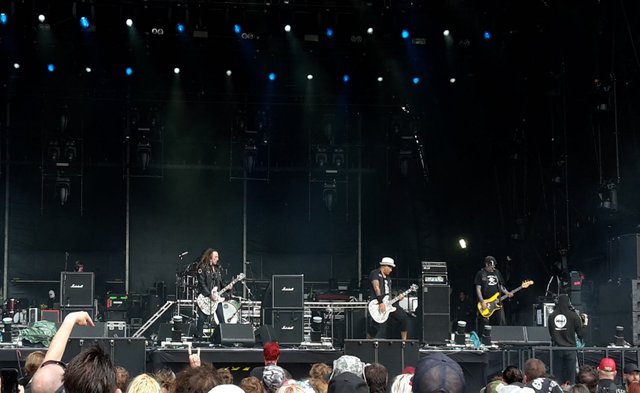 20190810_160842 Wildhearts.jpg