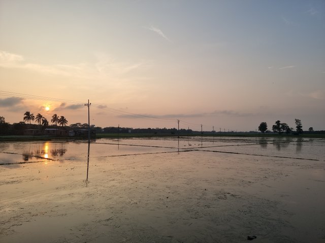 20230704_183011.jpg