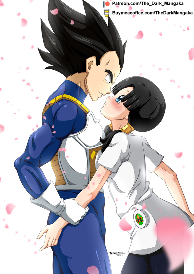 Commission CrazyLucario - Vegeta x Videl.png