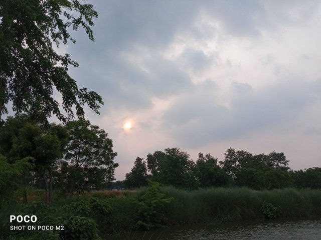 IMG_20250604_174115.jpg