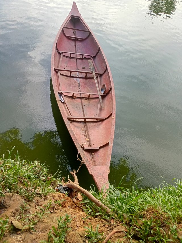 IMG20250827174155.jpg