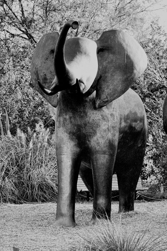 elephant.JPG
