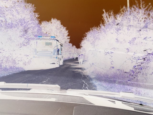 IMG7862negative.jpg