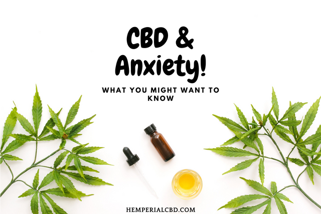 CBD & Anxiety What you might want to know.png