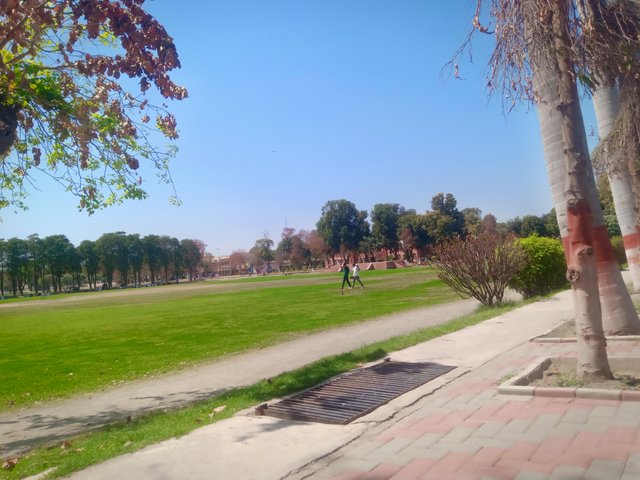 IMG20240325123243.jpg
