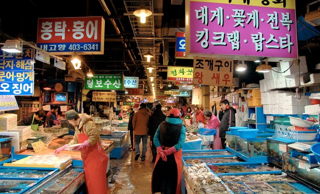 Korea-Seoul-Garak_Fish_Market-02.jpg