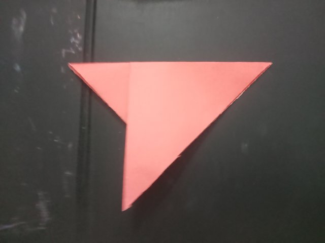 1000031556.jpg