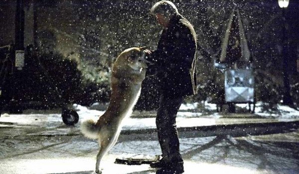 Hachiko-siempre-a-tu-lado.jpg