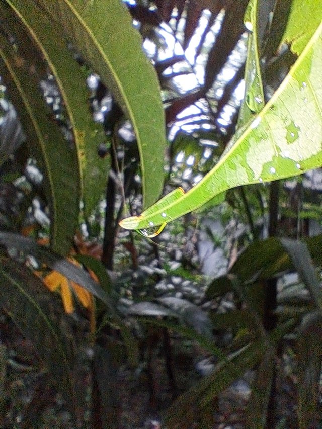20250609_182215.jpg