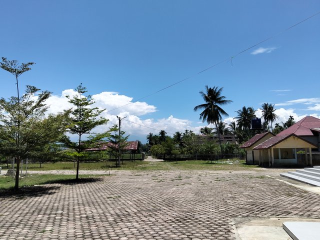 9247.jpg