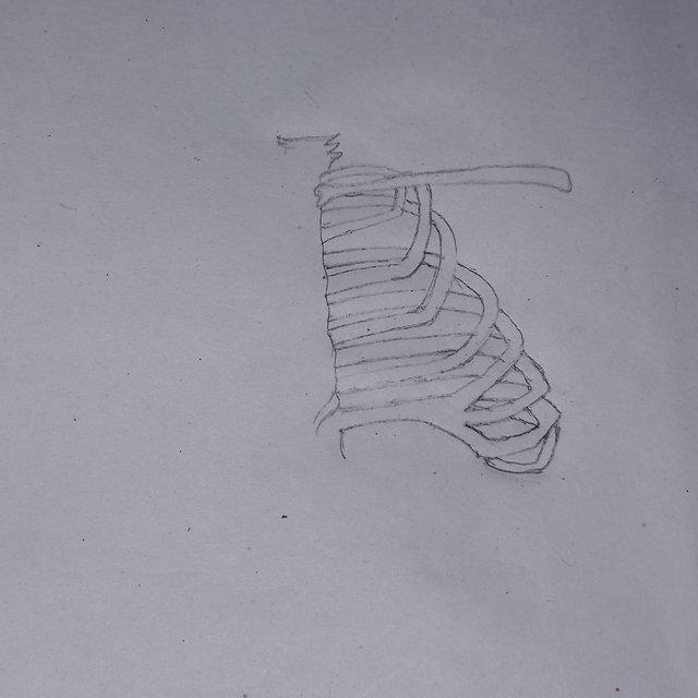 20251004_222836.jpg