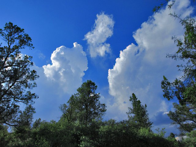 cumulous 7x9.jpg