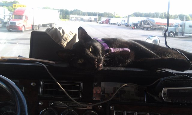 Lava Dashboard (3) 6-8-14.jpg