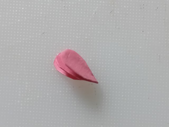 1000038552.jpg