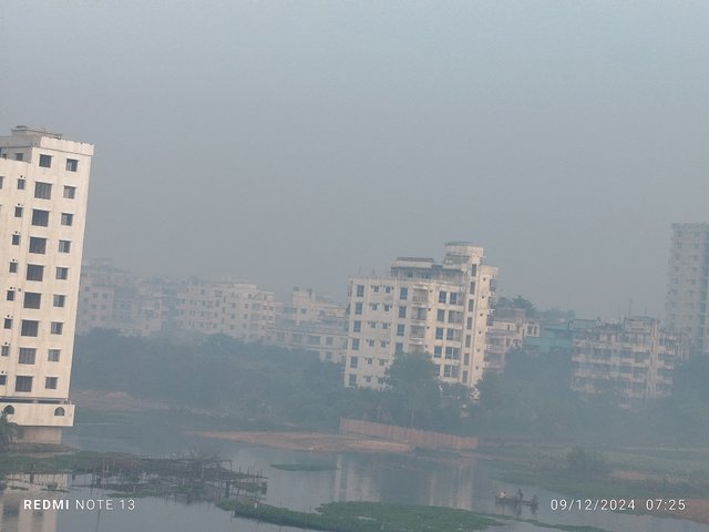 IMG_20241209_072504.jpg