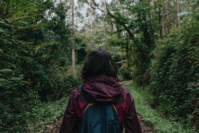 person-in-a-red-raincoat-walks-down-a-lush-pathway.jpg