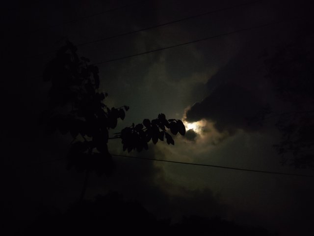 IMG_20250411_195520.jpg