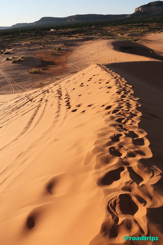 Dunes_9.jpg