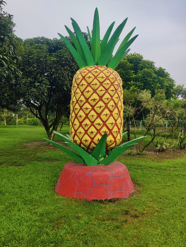 1000049868.jpg