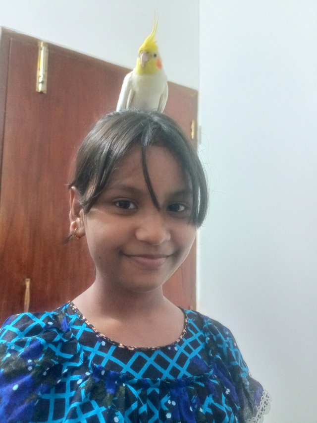 IMG20250725203301.jpg
