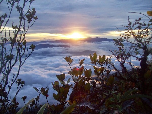 Gunung-Berapi-Burni-Telong.jpg