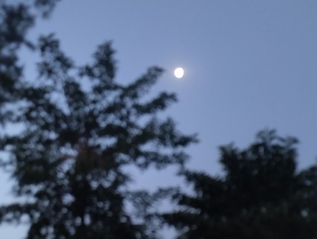 IMG_20240429_051035.jpg