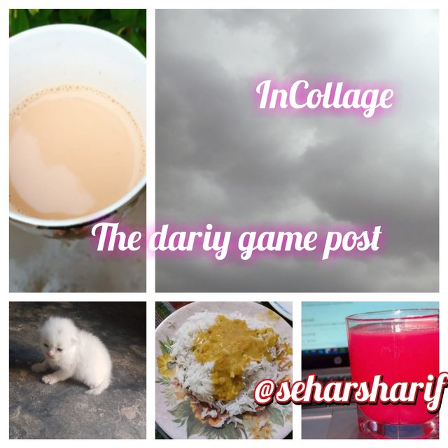 InCollage_20250705_152429530.jpg