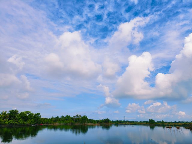 IMG_20250714_172812.jpg