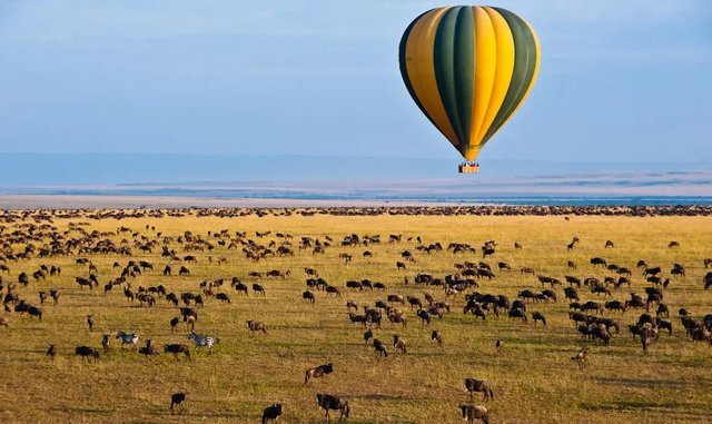 Best 10 Things to Do on Safari to Tanzania.jpg
