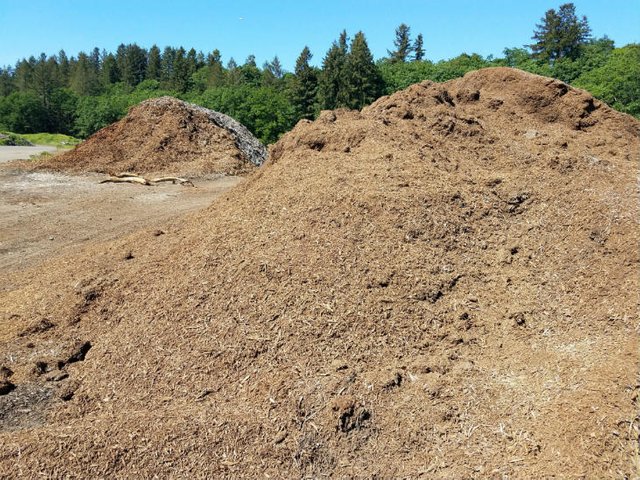 wood-chip-mulch-piles.jpg