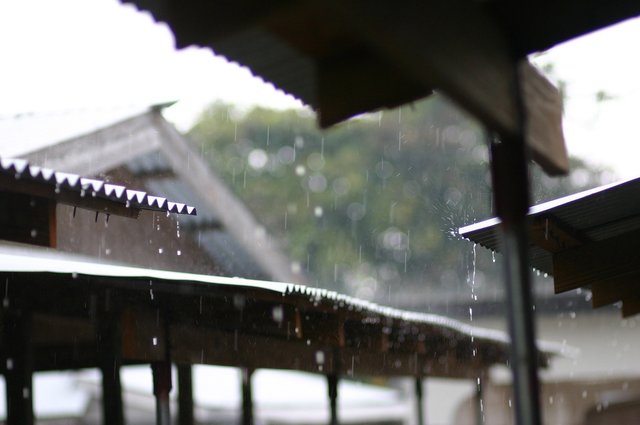 rainy-day-2572352_1920.jpg