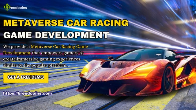 METAVERSE CAR RACING GAME DEVELOPMENGT (1).jpg