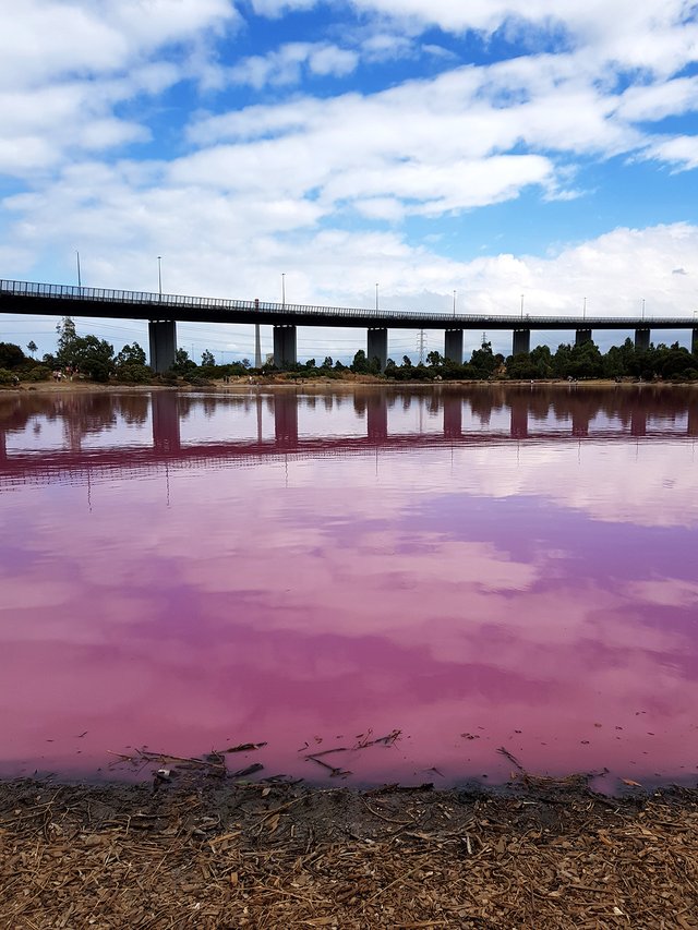 pink-lake-1.jpg