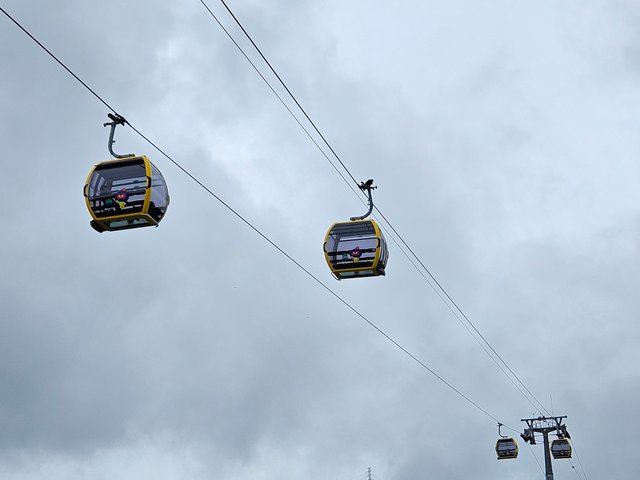 20250715_134512.jpg
