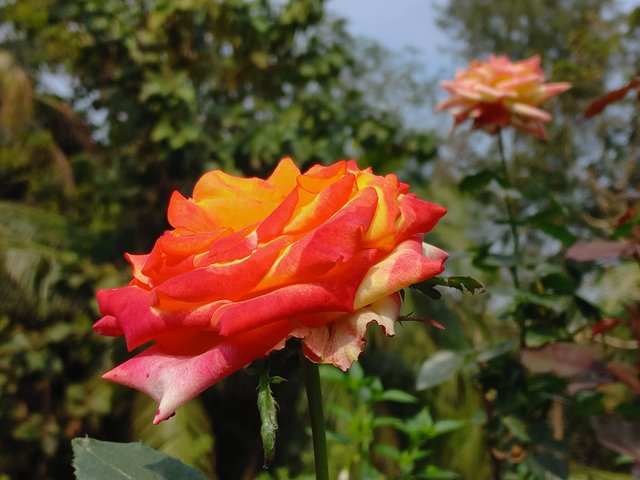 20240215_101933.jpg