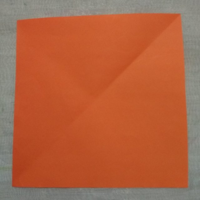 o19.jpg