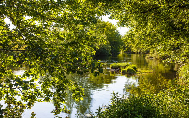 green-approach-to-the-vipava-river-png_pomanjsana.png