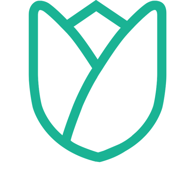 logo_amsterdex.png