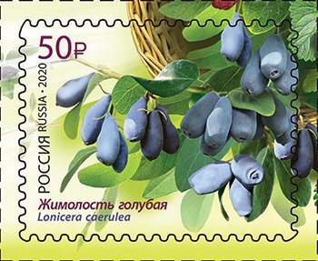 Russia_stamp_2020_№_2587.jpg