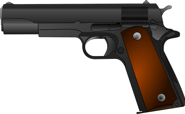 gun-161223_1280.png