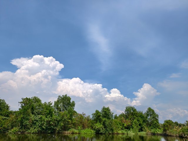 IMG_20250506_102604.jpg
