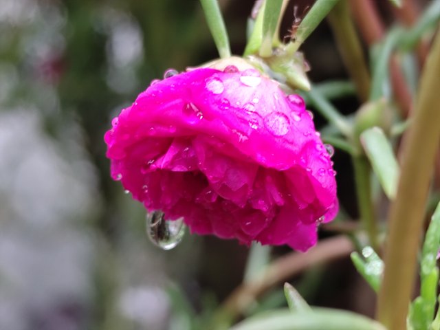 IMG_20250619_132701.jpg