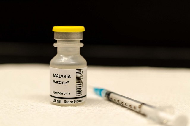 Malaria Vaccines Market.jpg