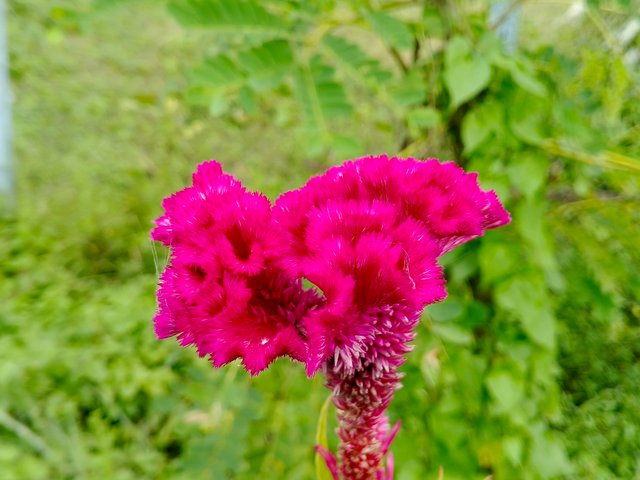IMG_20251005_125652_227.jpg