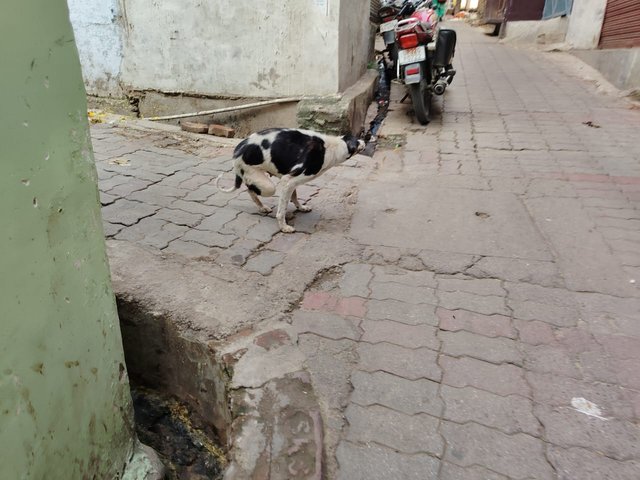 IMG-202507210016.jpg