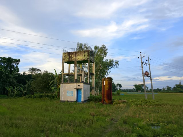 1000043455.jpg
