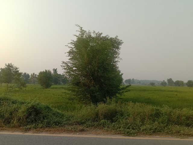 IMG_20251001_071409.jpg