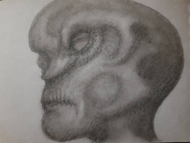 20250421_111219.jpg