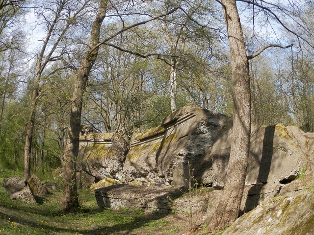 P5090059.JPG